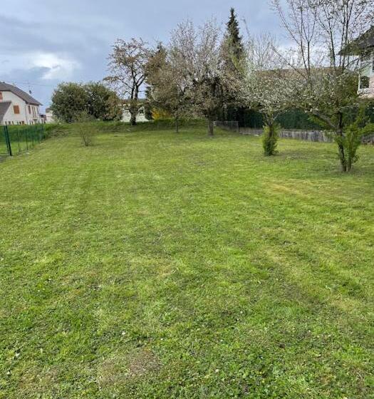 Номер Стандарт, Basel Airport Garden