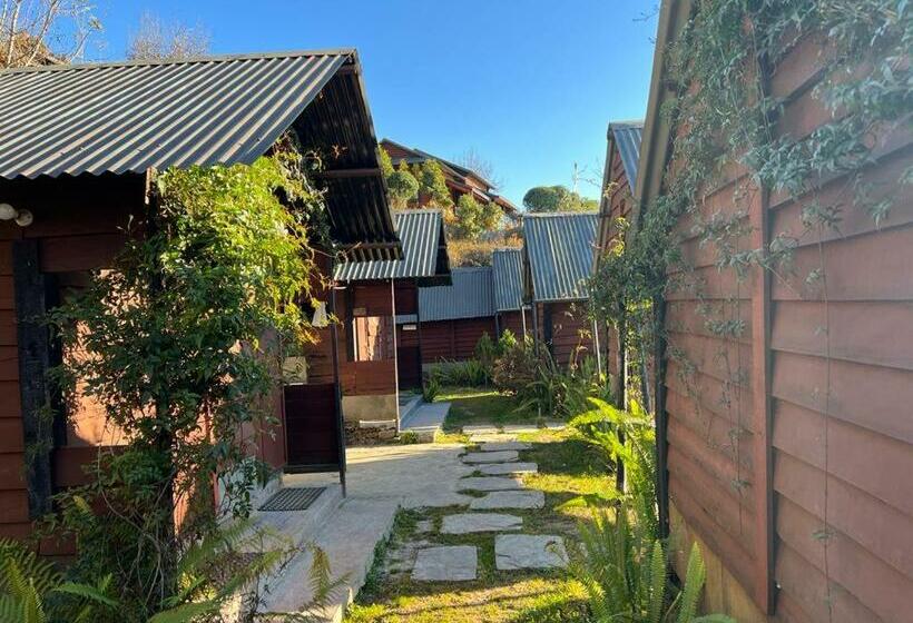 اتاق استاندارد, Prakriti Resort And Organic Farm Pvt. Ltd