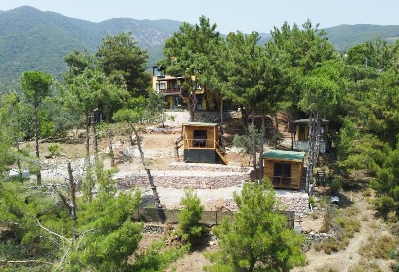 Номер Стандарт Вид на Море, Sarı Konak Butik Otel