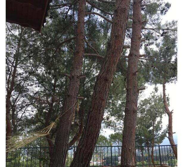 オーシャンビュースタンダードルーム, Sarı Konak Butik Otel