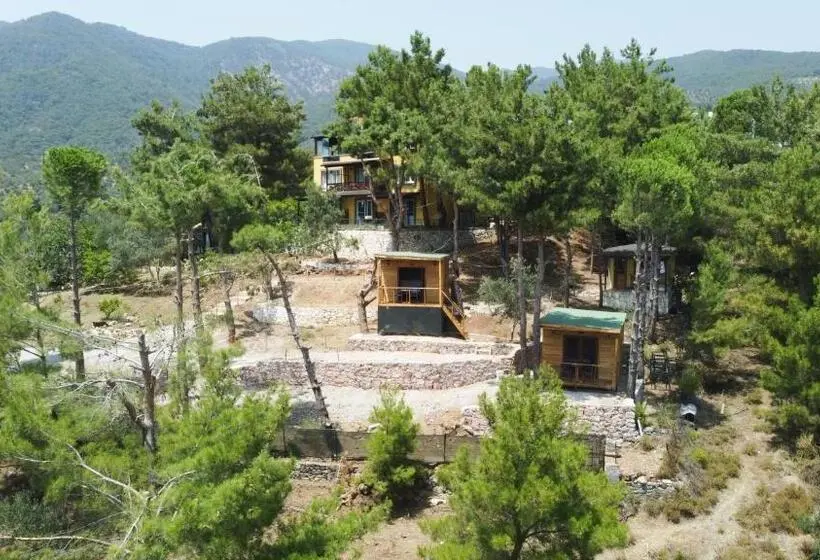 マウンテンビュースタンダードルーム, Sarı Konak Butik Otel