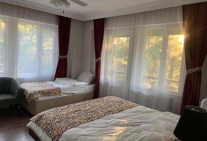 غرفة قياسية مطلة على الجبل, Sarı Konak Butik Otel