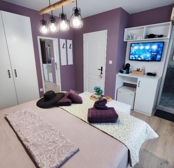 豪华房间, Amore Obzor