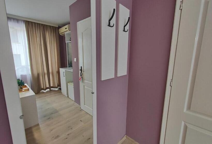 豪华房间, Amore Obzor