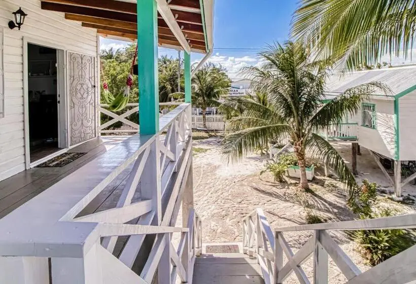 استودیوی استاندارد, Dv 3 At Dv Cabanas Gold Standard Certified