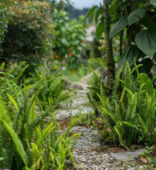 חדר סטנדרט לארבעה, Brisas Del Río