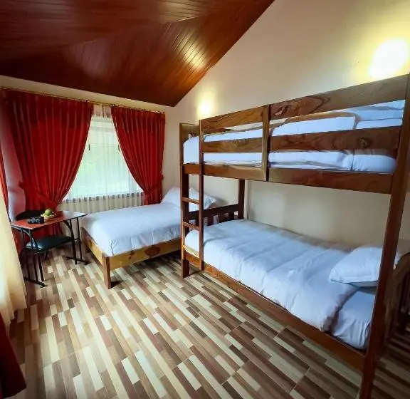 スタンダード4人部屋, Brisas Del Río