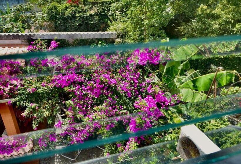 اتاق استاندارد, Casa Xunaan Kab