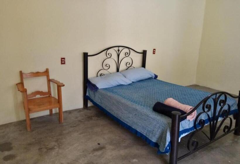 اتاق استاندارد, 224