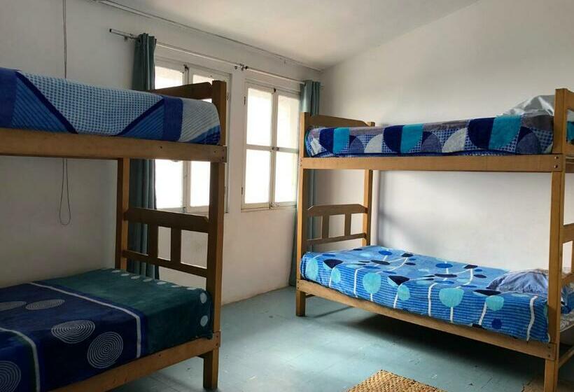 سرير فى غرفة مشتركه, Pointbreak Surf Camp