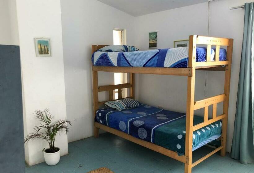 سرير فى غرفة مشتركه, Pointbreak Surf Camp