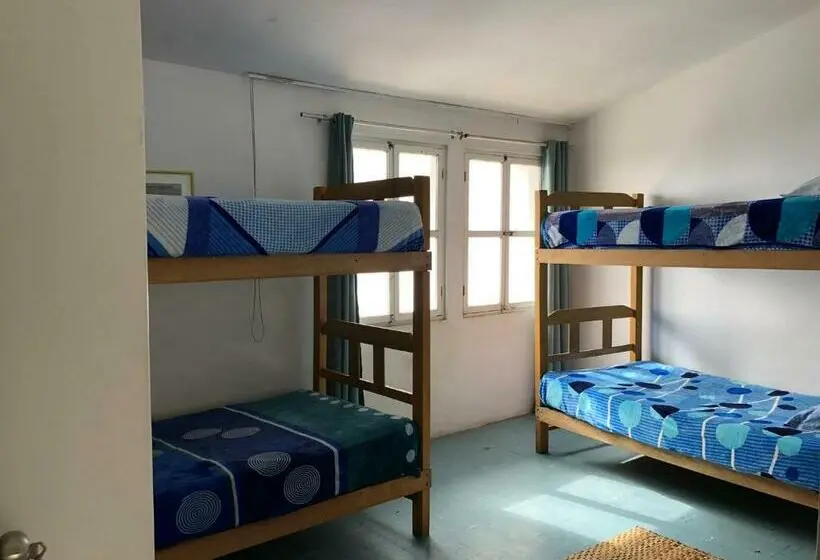 تختخواب در اتاق مشترک, Pointbreak Surf Camp