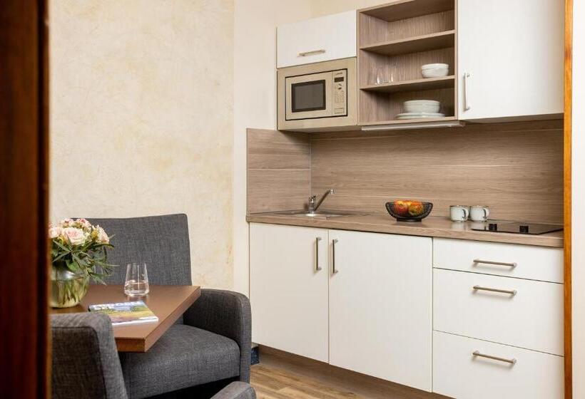 Апартаменты Superior 1 Спальня, Aparthotel Altes Schwedisches Konsulat