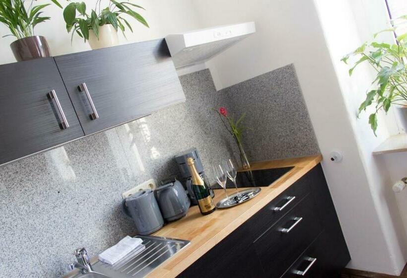 스탠다드 싱글 룸, Aparthotel Mitte