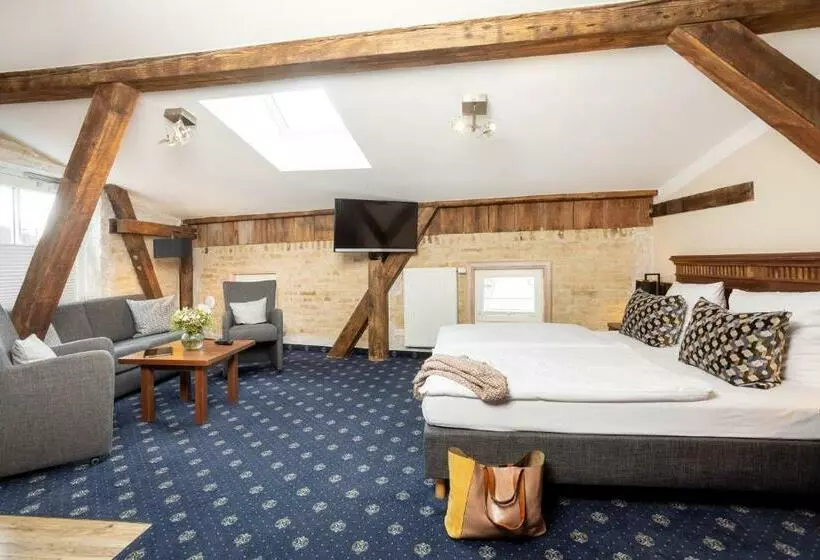 １ベッドルームのデラックスアパートメント, Aparthotel Altes Schwedisches Konsulat