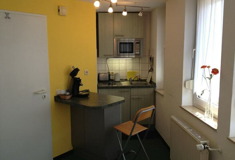 스탠다드 싱글 룸, Apartmenthaus Somborn