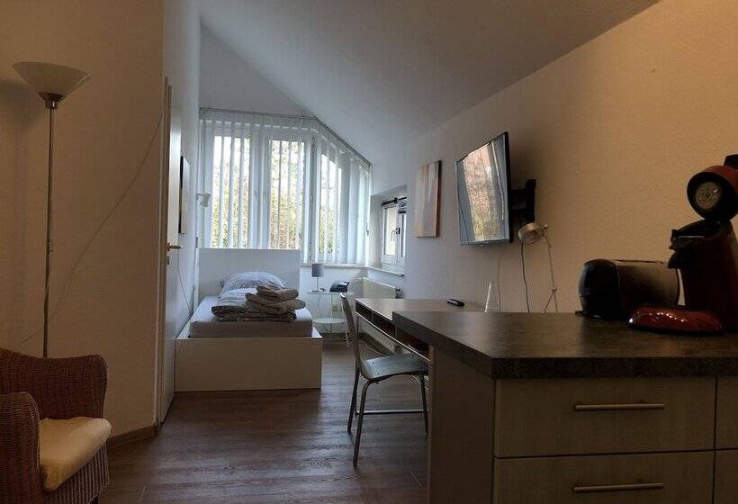 스탠다드 싱글 룸, Apartmenthaus Somborn