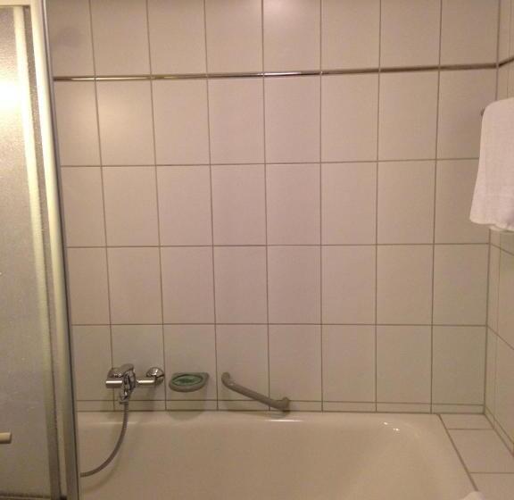 اتاق استاندارد یک تخته با بالکن, Astra Rastatt