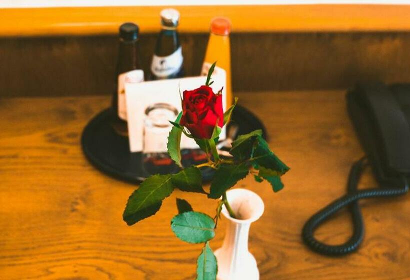 اتاق استاندارد یک نفره, Büchner Garni