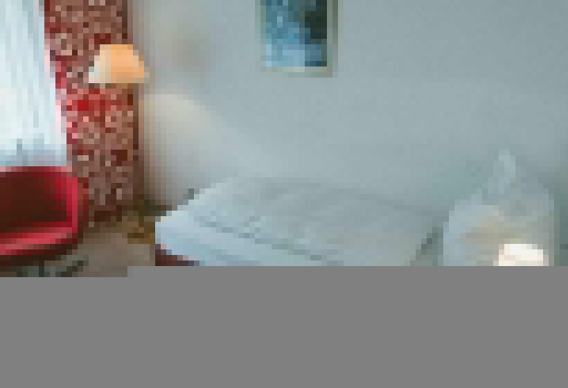 اتاق استاندارد یک نفره, Büchner Garni