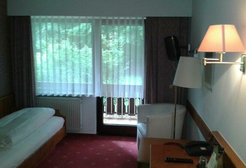 اتاق استاندارد یک نفره, Büchner Garni