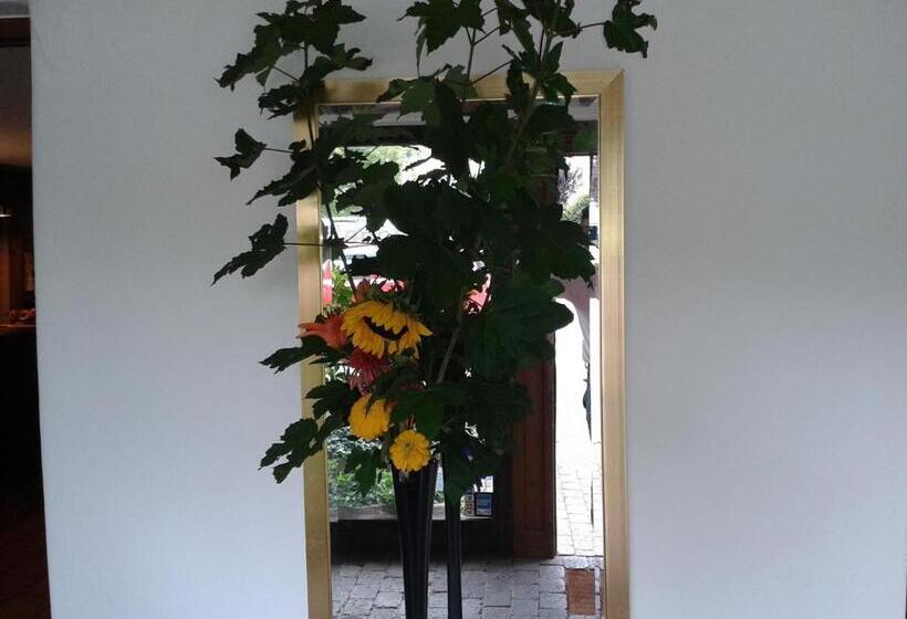 استودیو استاندارد با چشمانداز باغ, Büchner Garni