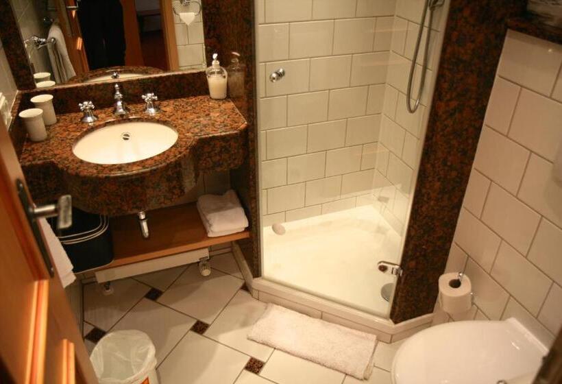 스탠다드 발코니 룸, Burg Arras