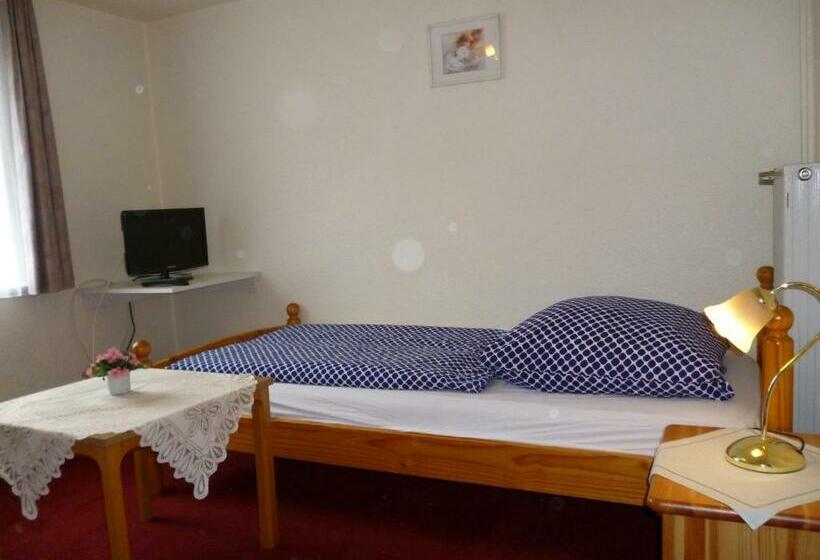 غرفة قياسية فردية, Café Restaurant Parkhaus