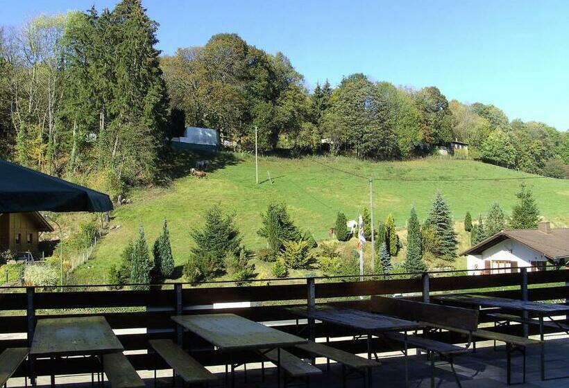 Номер Стандарт, Finkenberg