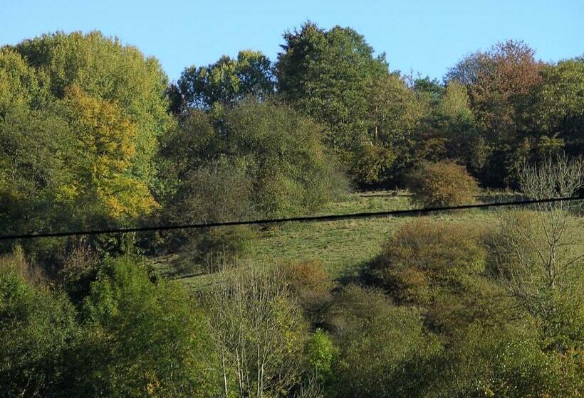 스탠다드 싱글 룸, Finkenberg