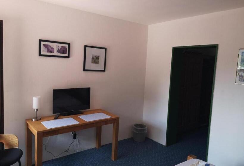 스탠다드 룸, Finkenberg