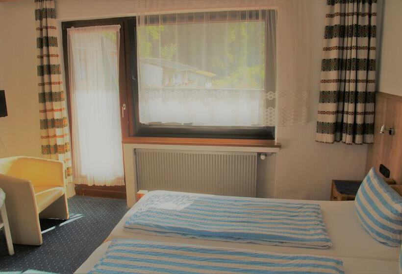 스탠다드 싱글 룸, Finkenberg