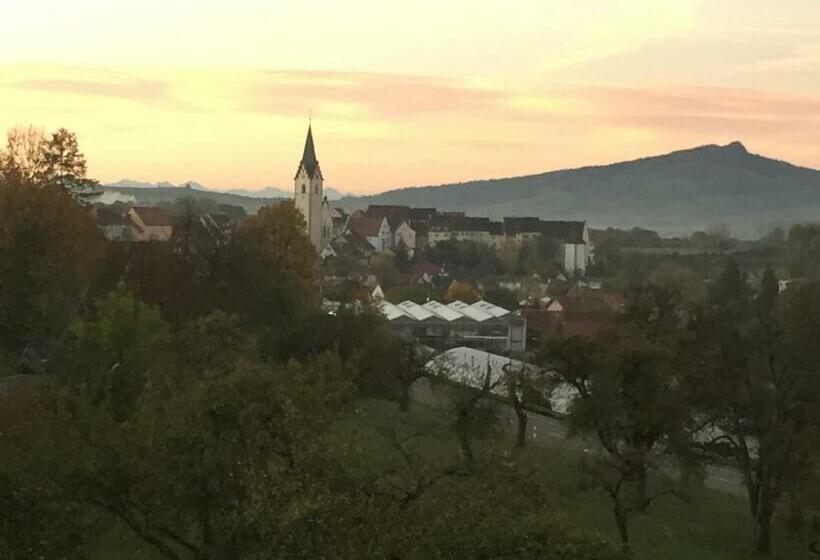 شقة غرفة نوم واحدة مزودة بشُرفة, Hewen Apartments