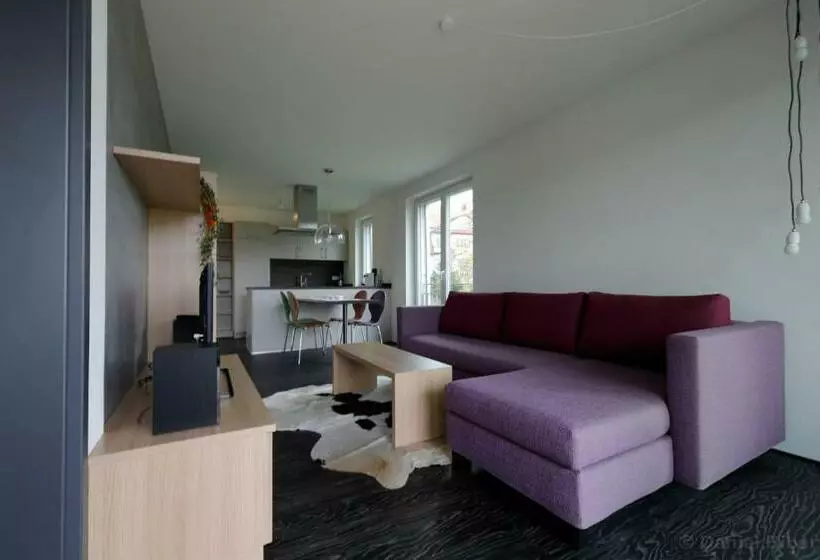 バルコニー付き1ベッドルームアパートメント, Hewen Apartments