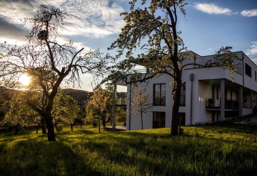 شقة غرفة واحدة مطلة على الحديقة, Hewen Apartments