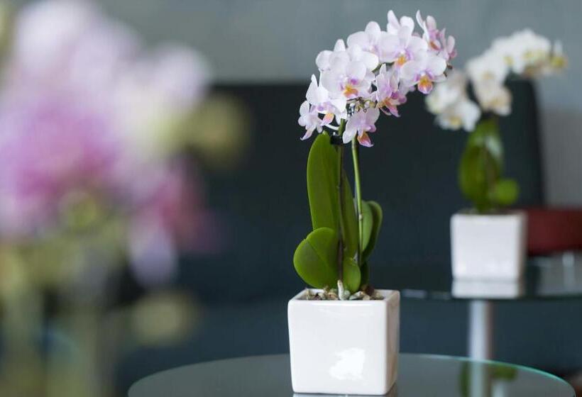 스탠다드 싱글 룸, In Den Herrnwiesen