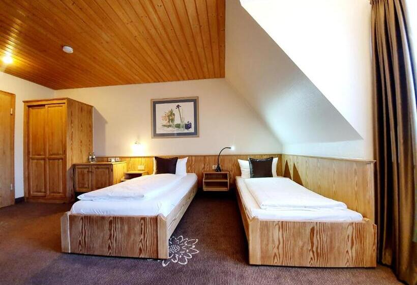 스탠다드 싱글 룸, In Den Herrnwiesen