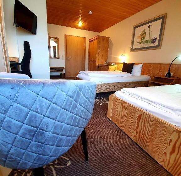 스탠다드 싱글 룸, In Den Herrnwiesen