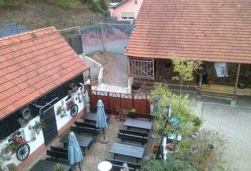 חדר סטנדרט, Pension Zur Schönen Aussicht