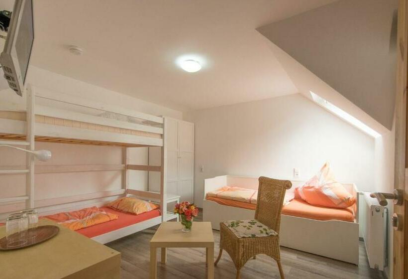 Четырехместный номер эконом класса с общей ванной комнатой, Pension Zur Schönen Aussicht