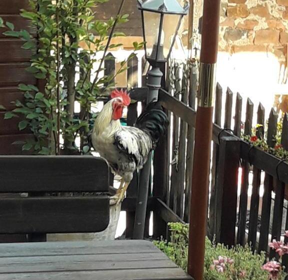 Номер Economy Индивидуальный, Pension Zur Schönen Aussicht