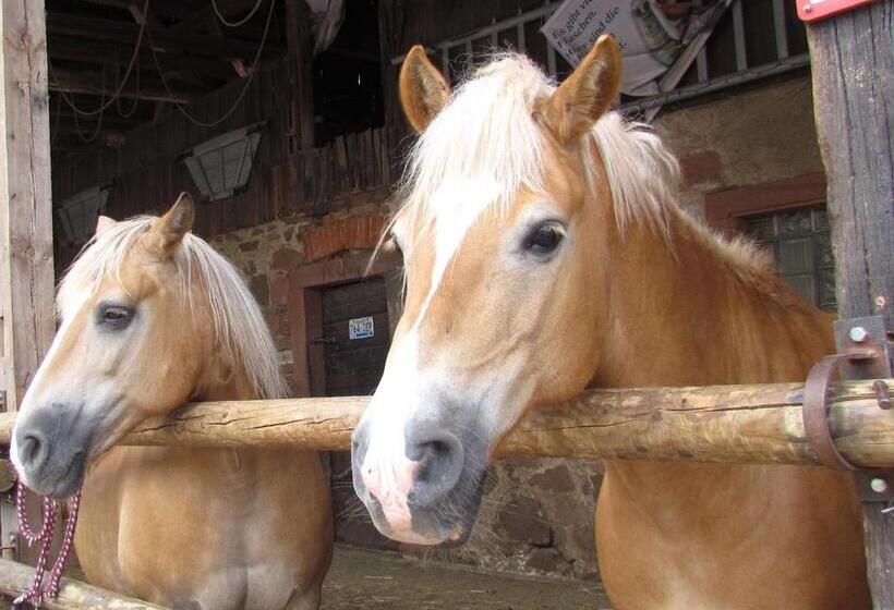 Номер Economy Индивидуальный, Pension Zur Schönen Aussicht