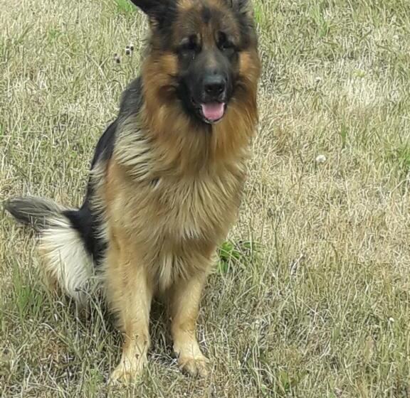 Номер Комфорт Индивидуальный, Pension Zur Schönen Aussicht