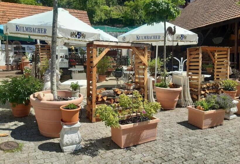 コンフォートシングルルーム, Pension Zur Schönen Aussicht