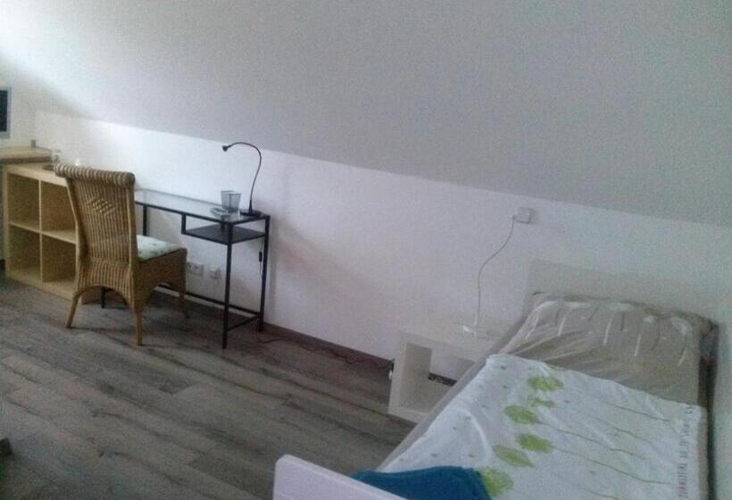 Номер Economy Индивидуальный, Pension Zur Schönen Aussicht