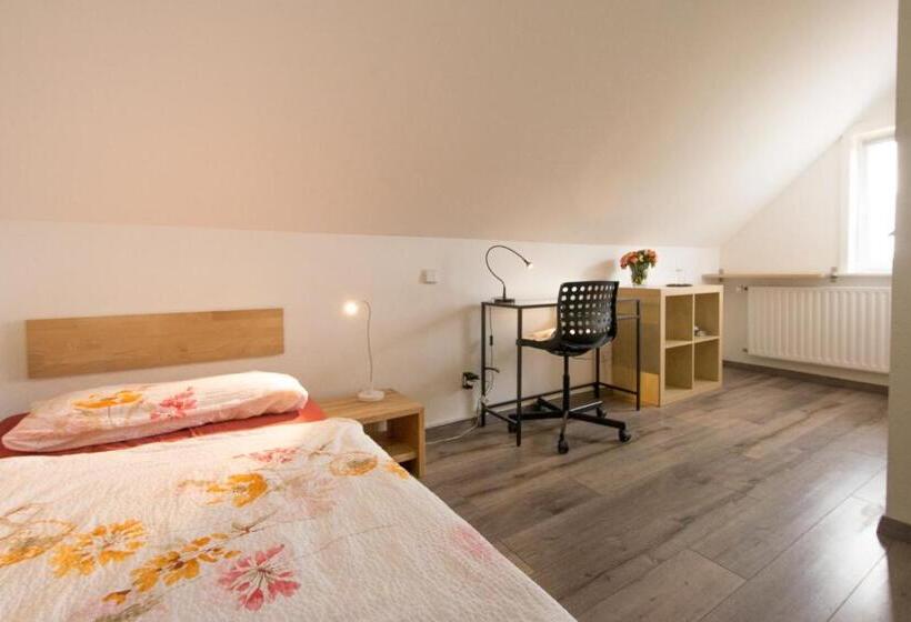 Номер Комфорт Индивидуальный, Pension Zur Schönen Aussicht