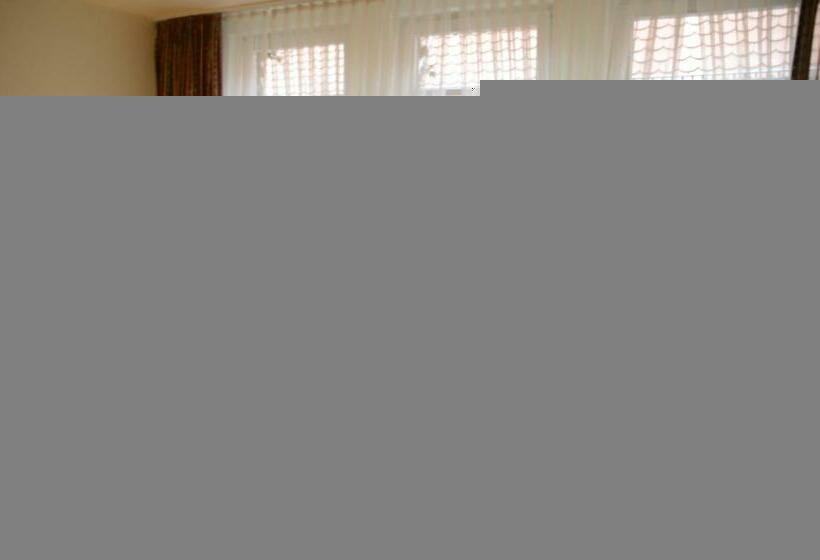 חדר סטנדרט יחיד, Mainblick Garni