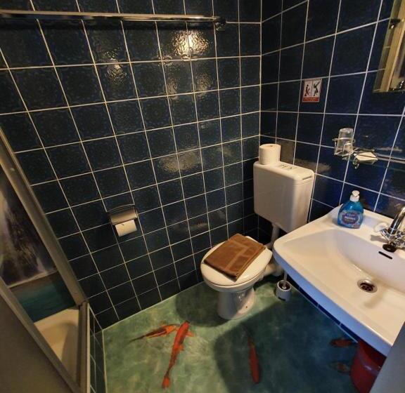 חדר סטנדרט יחיד, Pension Dressel