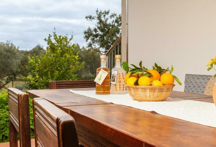 חדר משפחתי, Domu Bresca