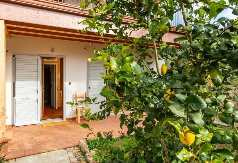 חדר סטנדרט, Domu Bresca